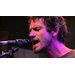 BEN TAYLOR